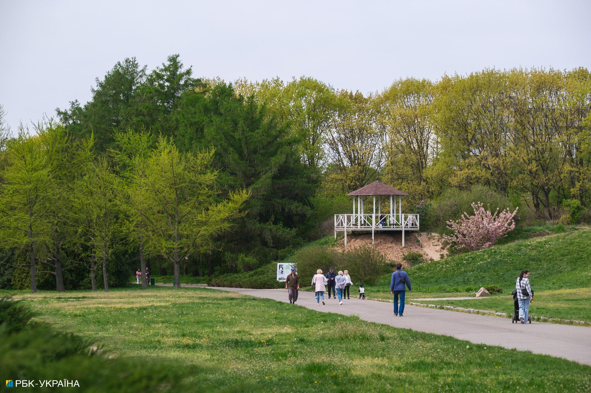 Бузок старіє, а кедр стане новим символом Києва, - Микола Шумик, Ботсад ім. Гришка